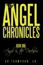 The Angel Chronicles: Book One: Angel In - Preview