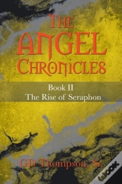 Capa do artigo The Angel Chronicles