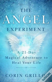 Capa do artigo The Angel Experiment