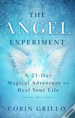 Capa do artigo The Angel Experiment