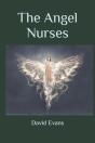 The Angel Nurses - Preview