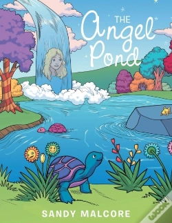 Capa do artigo The Angel Pond