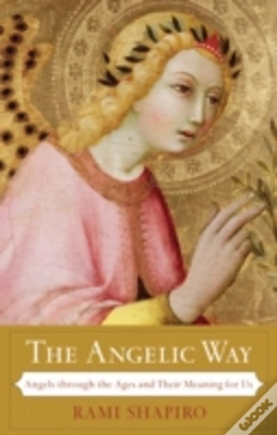 Capa do artigo The Angelic Way