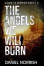 The Angels We Will Burn - Preview