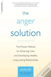 Capa do artigo The Anger Solution