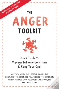 Capa do artigo The Anger Toolkit