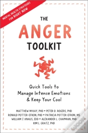 Capa do artigo The Anger Toolkit