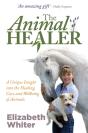 The Animal Healer - Preview