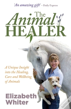 Capa do artigo The Animal Healer