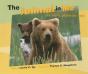 The Animal In Me - Preview