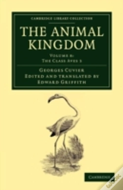 Capa do artigo The Animal Kingdom