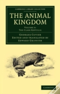 Capa do artigo The Animal Kingdom