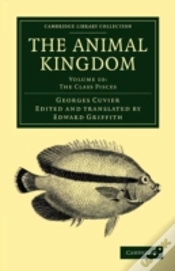 Capa do artigo The Animal Kingdom