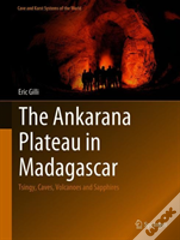 The Ankarana Plateau In Madagascar