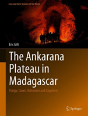 The Ankarana Plateau In Madagascar - Preview