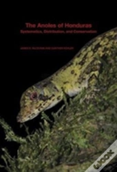 The Anoles Of Honduras