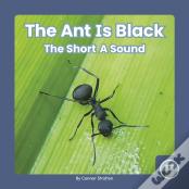 The Ant Is Black