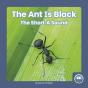 The Ant Is Black - Preview