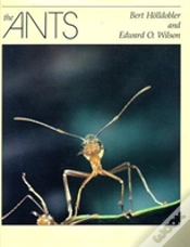 Capa do artigo The Ants