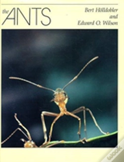 Capa do artigo The Ants