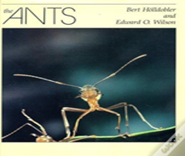 The Ants
