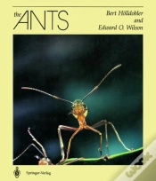 Capa do artigo The Ants