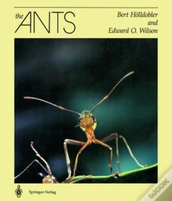 Capa do artigo The Ants