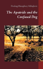 The Apatride And The Confused Dog - Preview