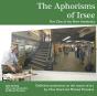 The Aphorisms Of Irsee - Preview