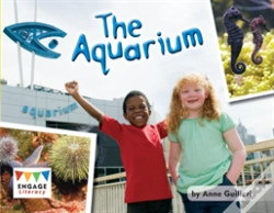 Capa do artigo The Aquarium