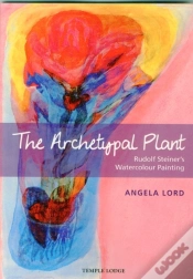 Capa do artigo The Archetypal Plant