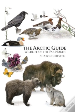 Capa do artigo The Arctic Guide