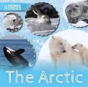 The Arctic - Preview