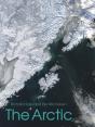 The Arctic - Preview