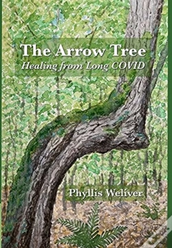 Capa do artigo The Arrow Tree