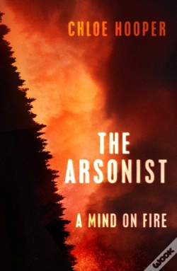 Capa do artigo The Arsonist