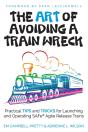 The Art Of Avoiding A Train Wreck: Pract - Preview