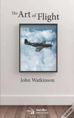 Capa do artigo The Art Of Flight