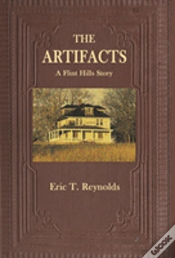 Capa do artigo The Artifacts
