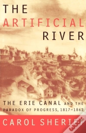 Capa do artigo The Artificial River