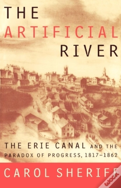 Capa do artigo The Artificial River