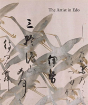 The Artist In Edo - Preview