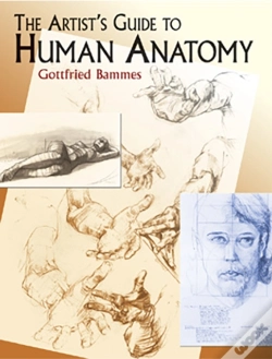 Capa do artigo The Artist'S Guide To Human Anatomy