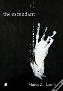 Capa do artigo The Ascendant