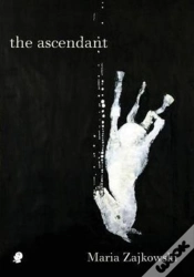 Capa do artigo The Ascendant