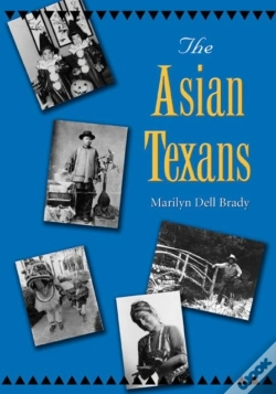 Capa do artigo The Asian Texans