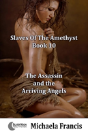 The Assassin And The Arriving Angels - Preview