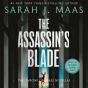 The Assassin'S Blade - Preview