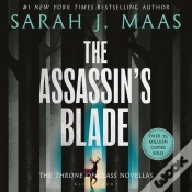 Capa do artigo The Assassin