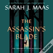 Capa do artigo The Assassin
